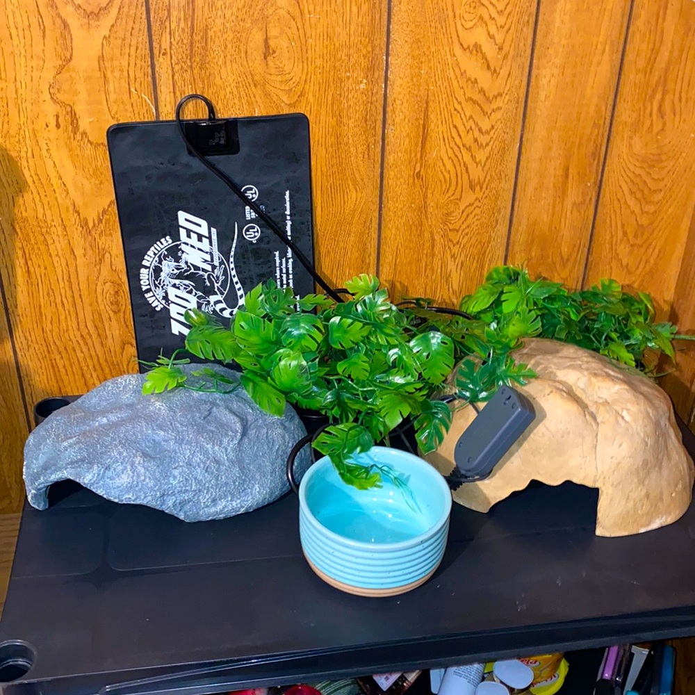 Reptile supplies